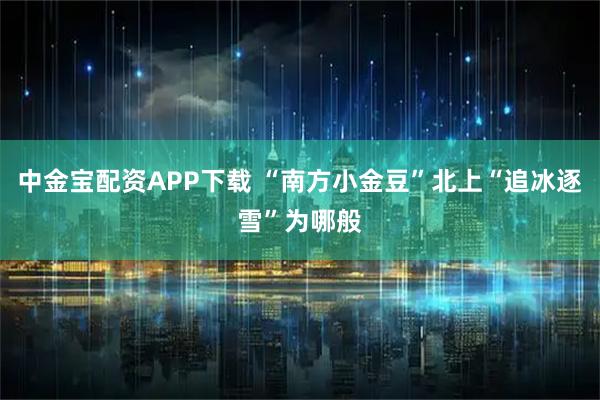 中金宝配资APP下载 “南方小金豆”北上“追冰逐雪”为哪般
