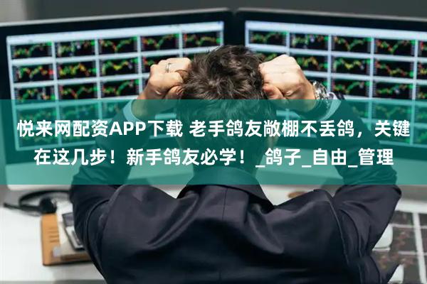 悦来网配资APP下载 老手鸽友敞棚不丢鸽，关键在这几步！新手鸽友必学！_鸽子_自由_管理