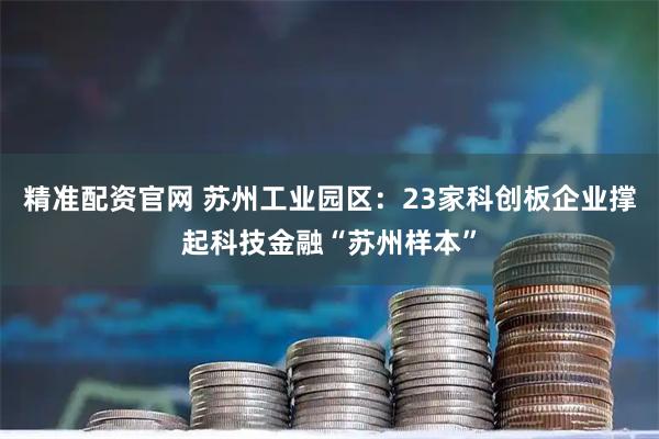 精准配资官网 苏州工业园区：23家科创板企业撑起科技金融“苏州样本”